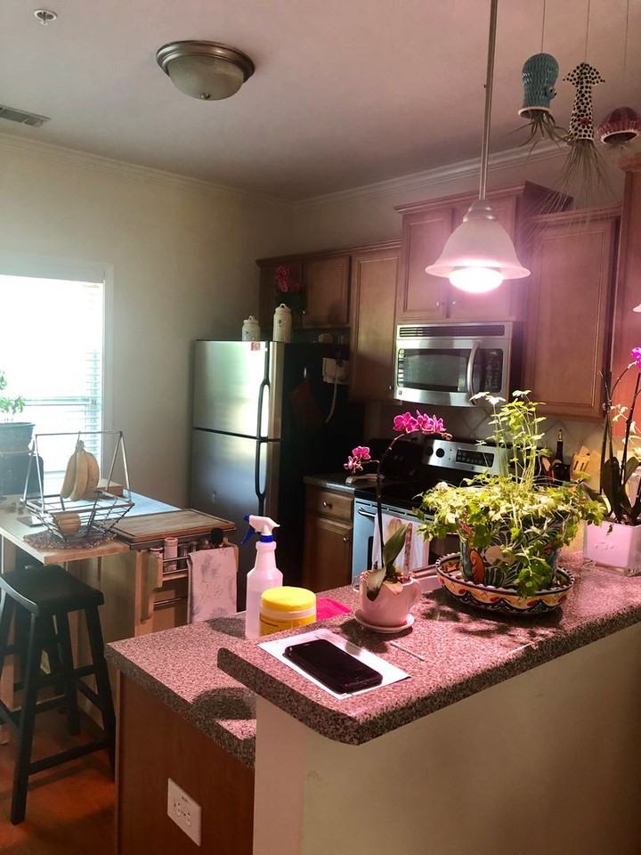 256 Center Park Ln - Photo 6 of 16