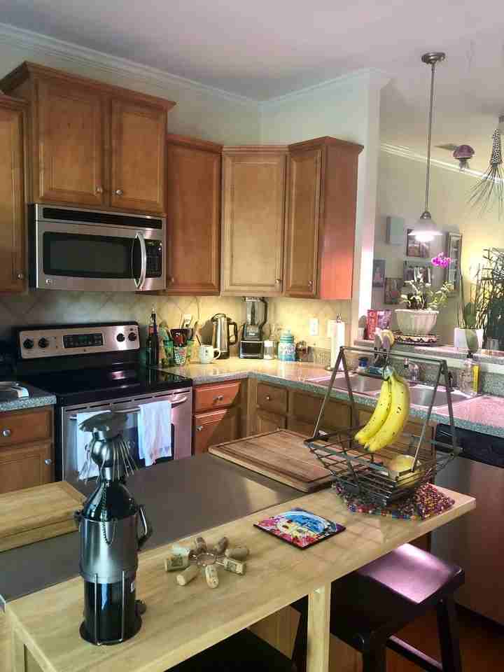 256 Center Park Ln - Photo 7 of 16