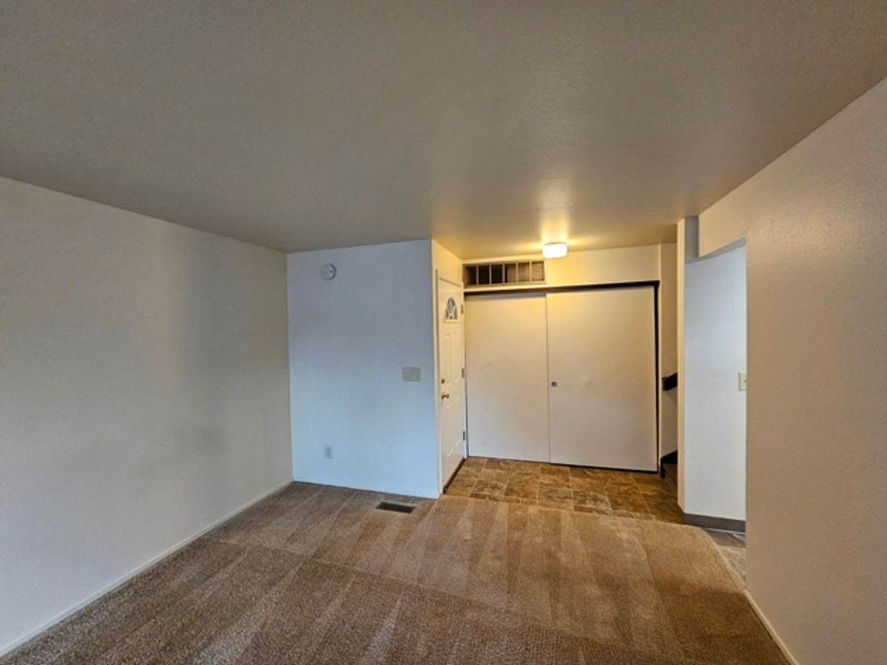 srsl01* - Photo 7 of 19