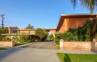 5944Palm - Photo 1 of 1