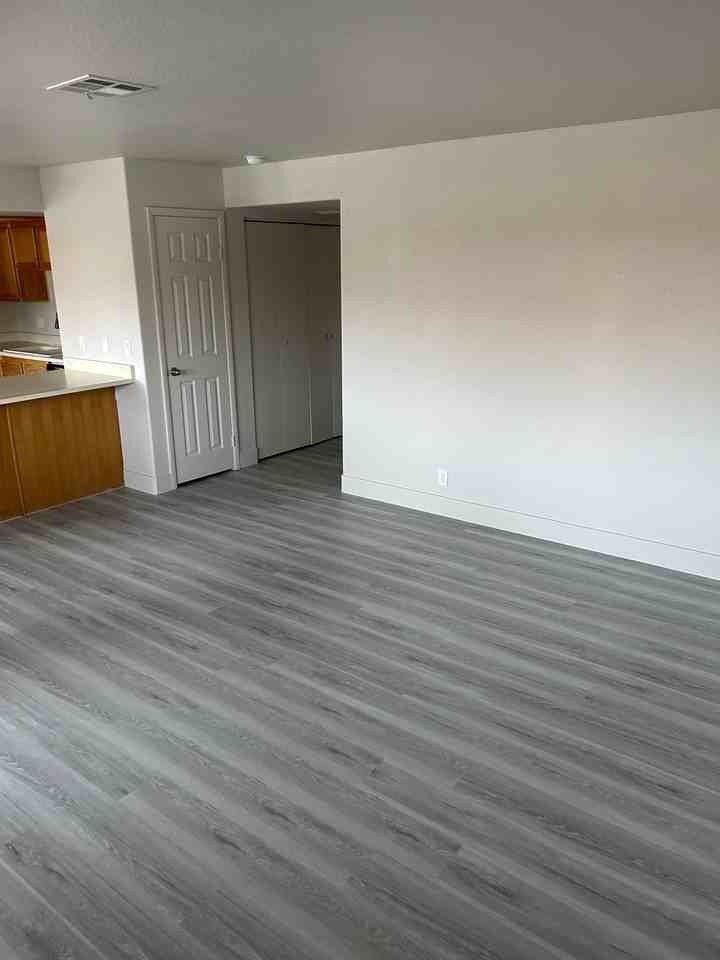 895 Mesquite Springs Dr #201 - Photo 5 of 13