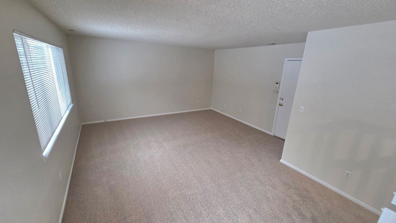 3231 Goldeneye Pl - Photo 6 of 17