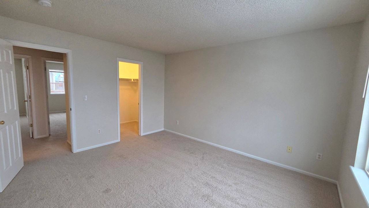 3231 Goldeneye Pl - Photo 7 of 17