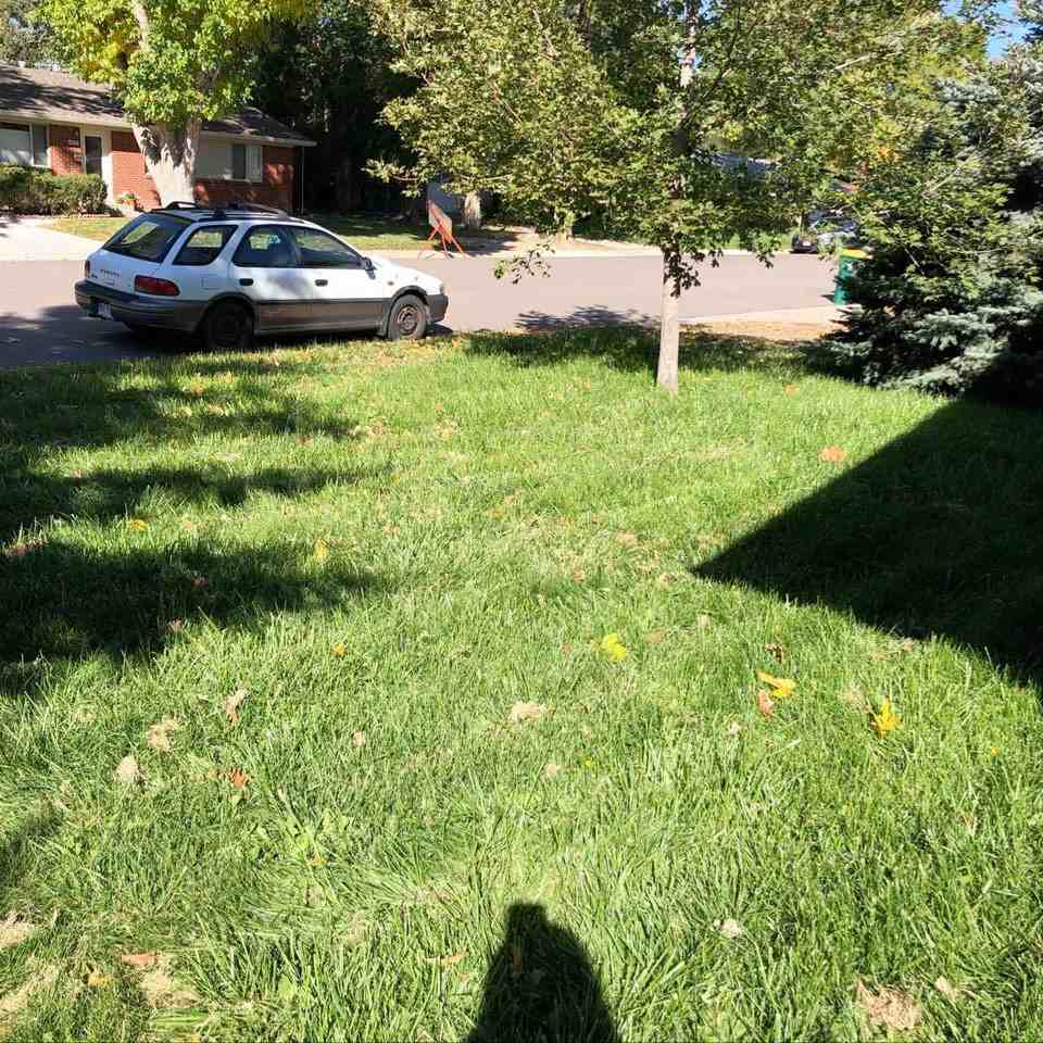 1922 Clearview Ave #1922 - Photo 4 of 12