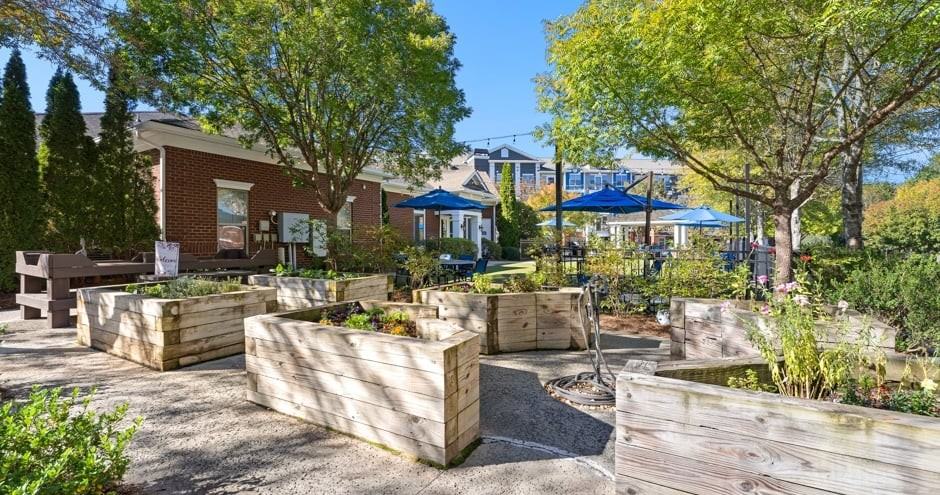 Park at Johns Creek 55+ Active Adult Living - Photo 4 of 47