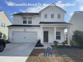featured image of 160 Camellia Bloom Dr