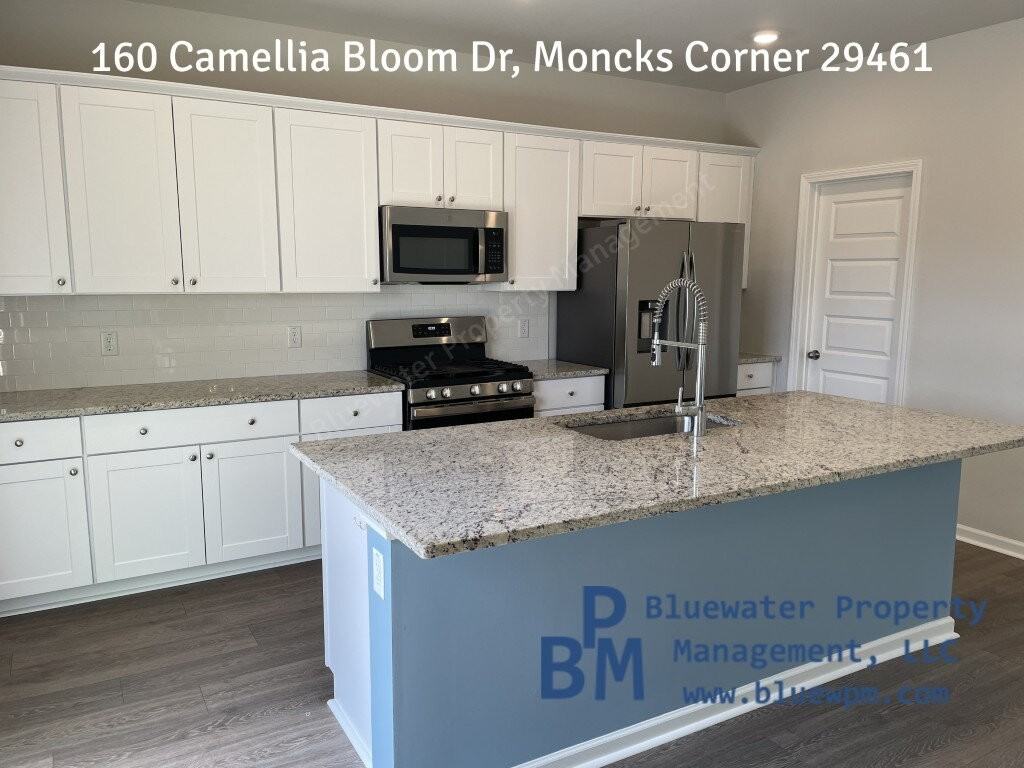 160 Camellia Bloom Dr - Photo 2 of 45