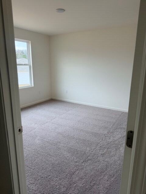 305 Mccleary Ln - Photo 7 of 9