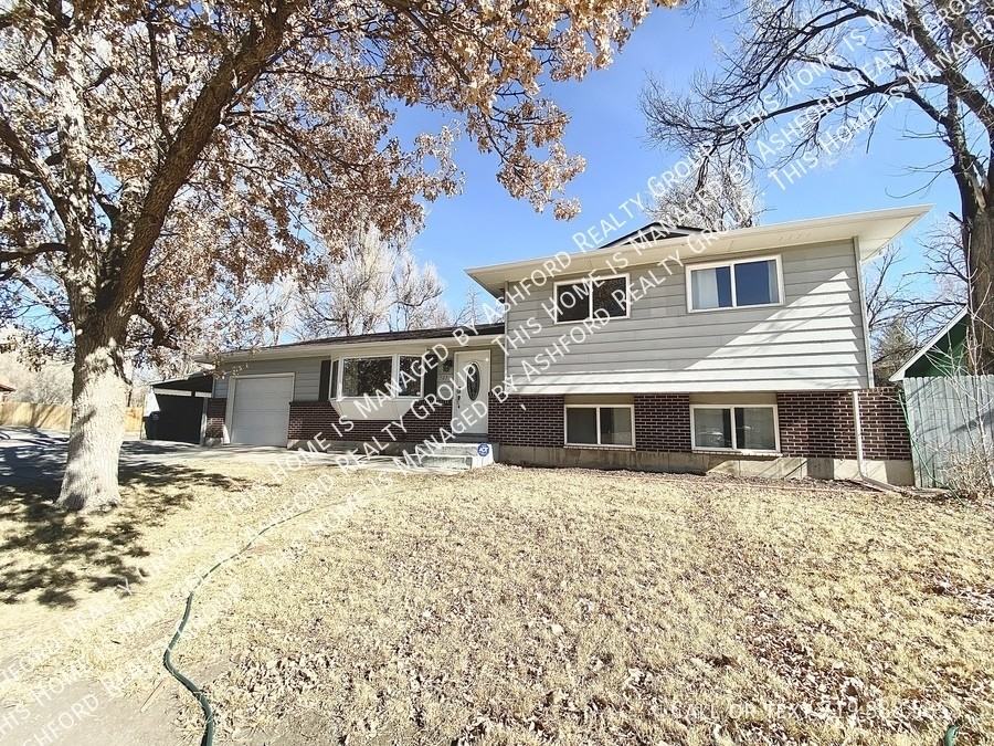 303 Quebec St - Photo 2 of 16