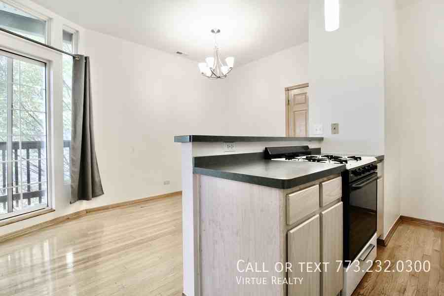 1645 N Clybourn Ave #2R - Photo 6 of 24