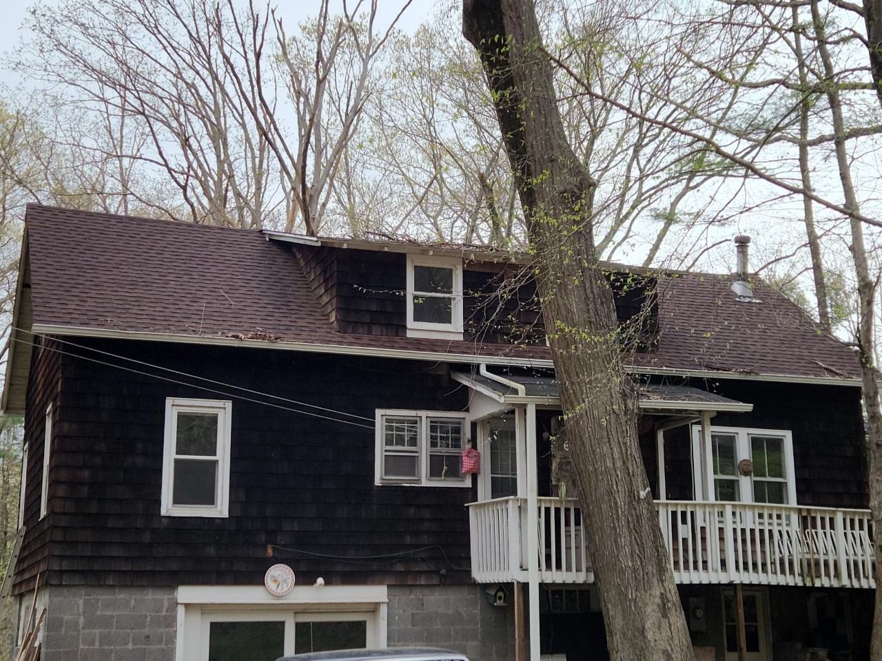 480 Maupas Rd #4 - Photo 7 of 19