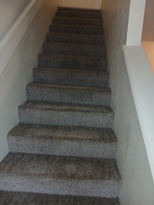 4301 Yorkshire Dr #40 - Photo 6 of 10