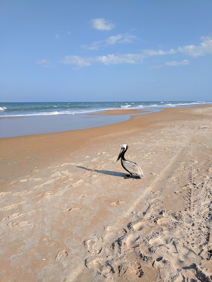 1732 Ocean Shore Blvd #15 - Photo 5 of 9