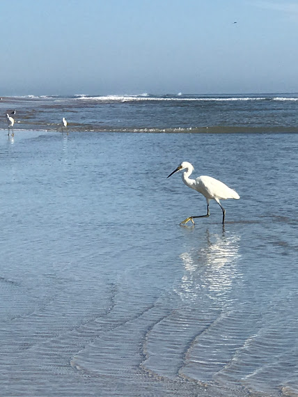 1732 Ocean Shore Blvd #15 - Photo 7 of 9