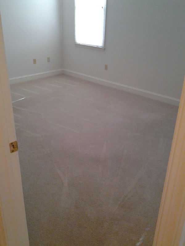 2769 West Blvd - Photo 7 of 13