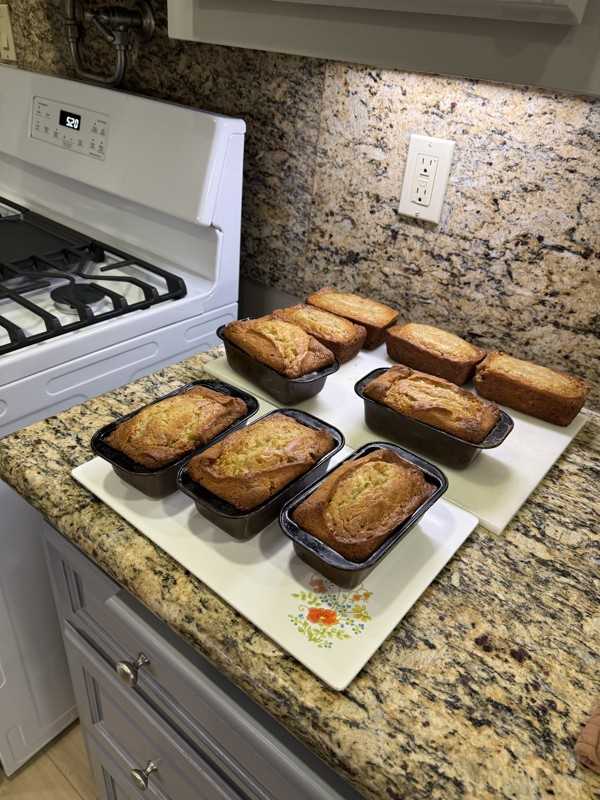 6261 E El Paseo St - Photo 4 of 7