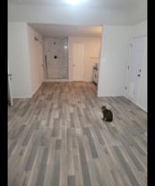 3716 Pebble Bch - Photo 1 of 1