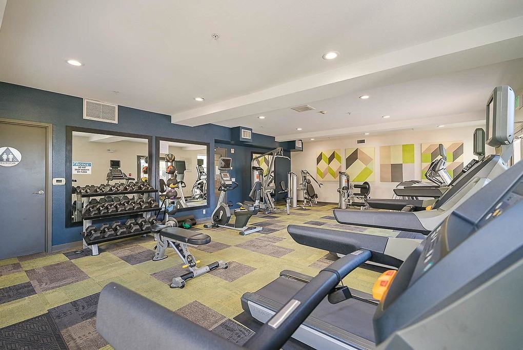 Avery - Photo 4 of 39