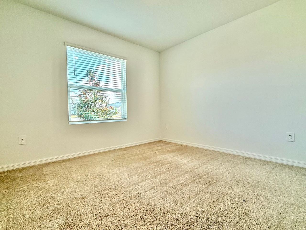 646 Teviot Rd - Photo 3 of 42