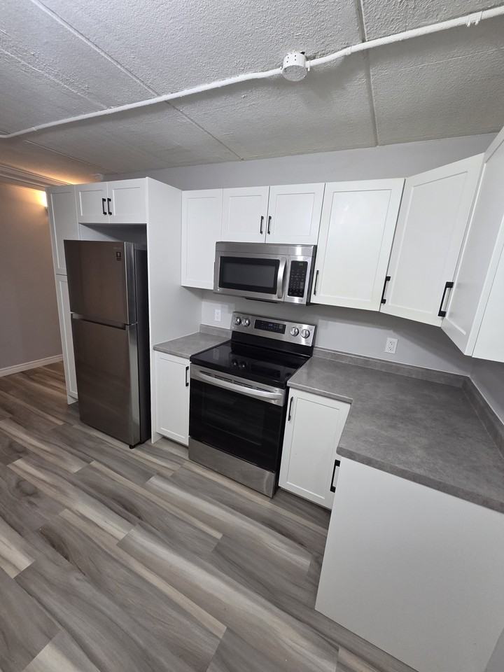 247 Erb St W #5 - Photo 2 of 10