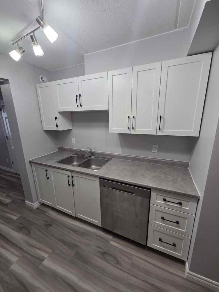 247 Erb St W #5 - Photo 3 of 10