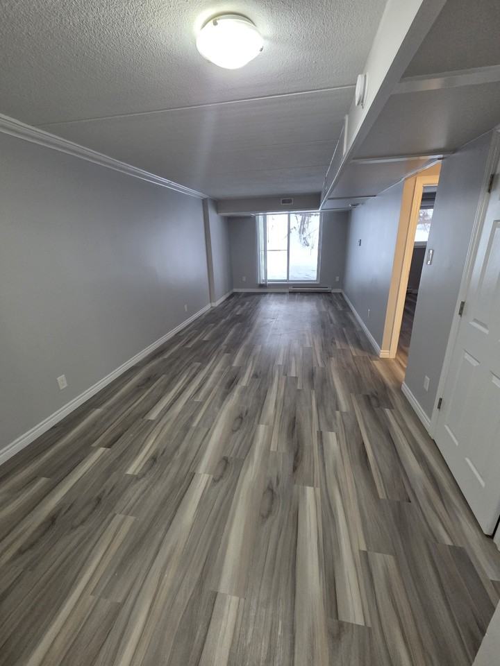 247 Erb St W #5 - Photo 4 of 10