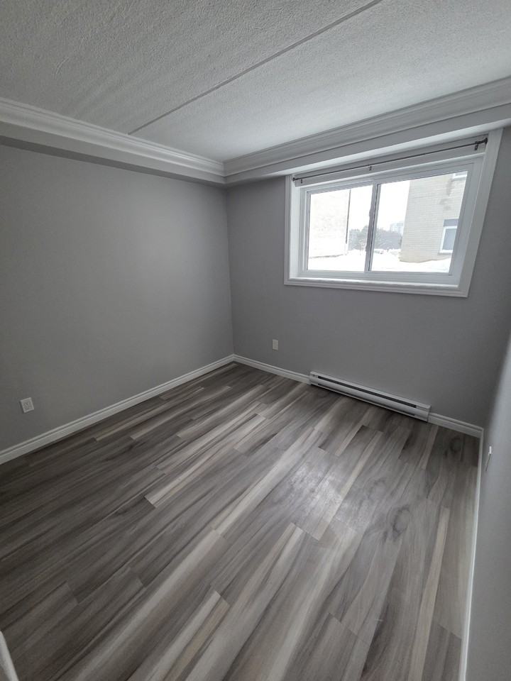 247 Erb St W #5 - Photo 5 of 10