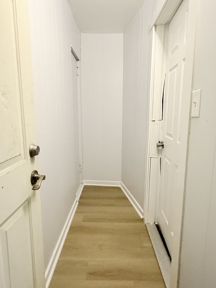 1011 Albert Rd #3 - Photo 3 of 10