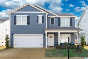 featured image of 23098 Downing Park Cir