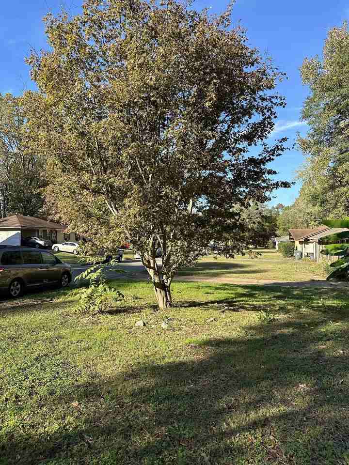 3756 Vanderwood Dr - Photo 5 of 20