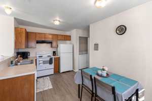 featured image of Vernice Loop