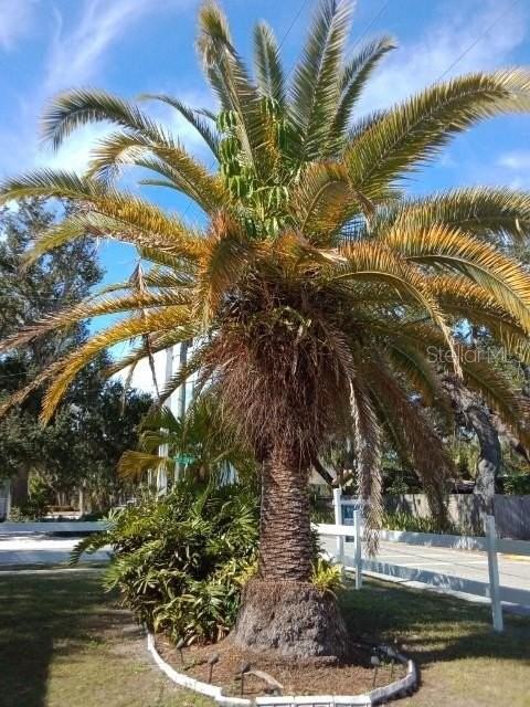 1010 Indian Beach Dr - Photo 7 of 50