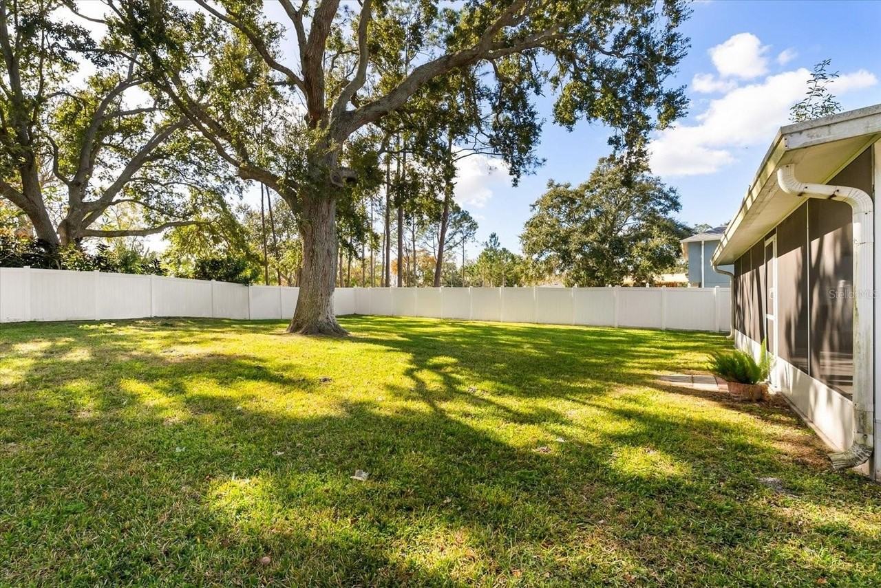 116 Timbercreek Pines Cir - Photo 5 of 30