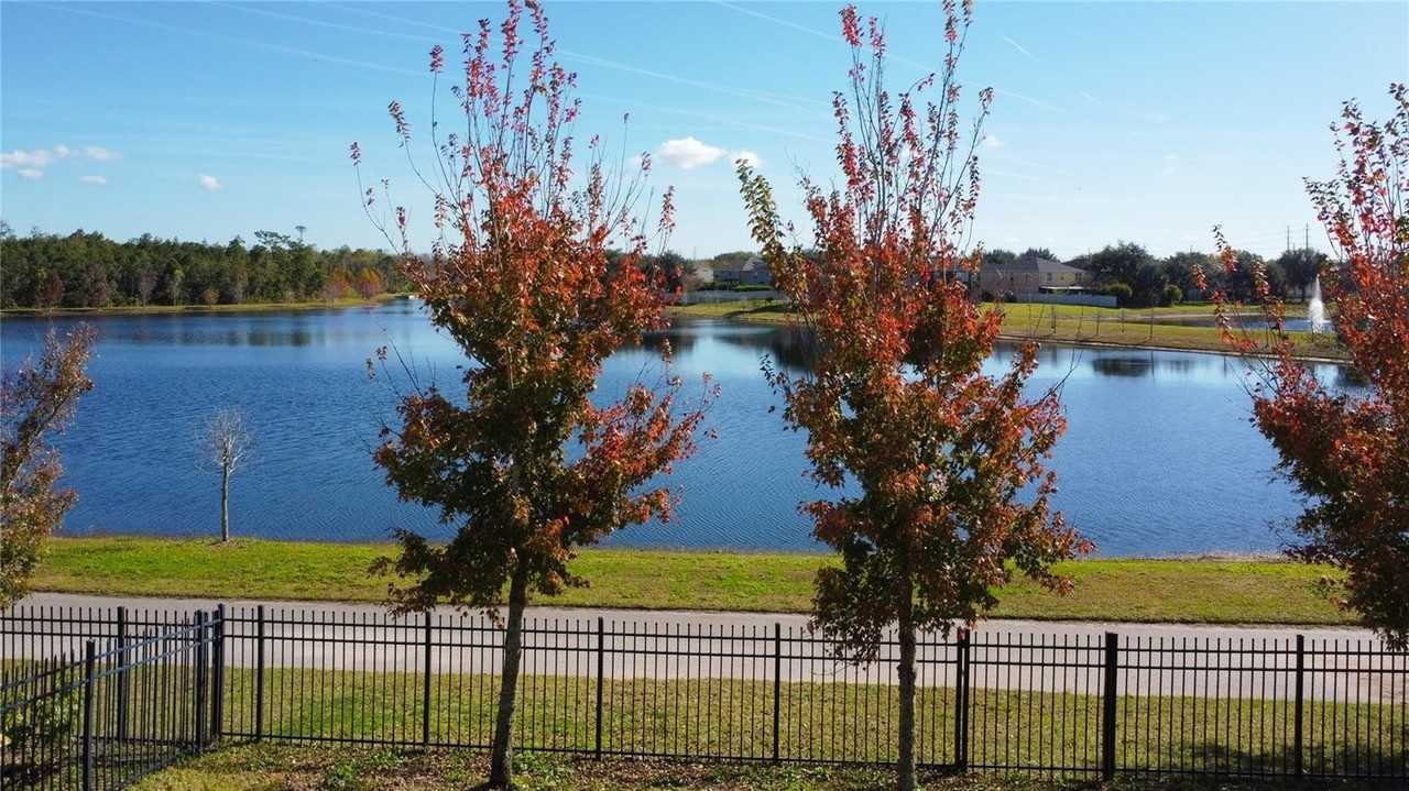 11939 Satire St - Photo 3 of 50