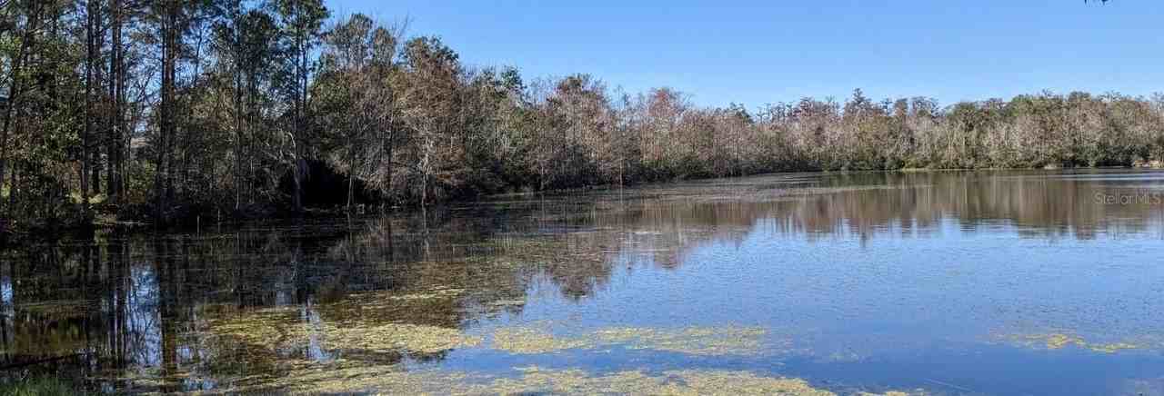 8372 Fort Clinch Ave - Photo 3 of 3