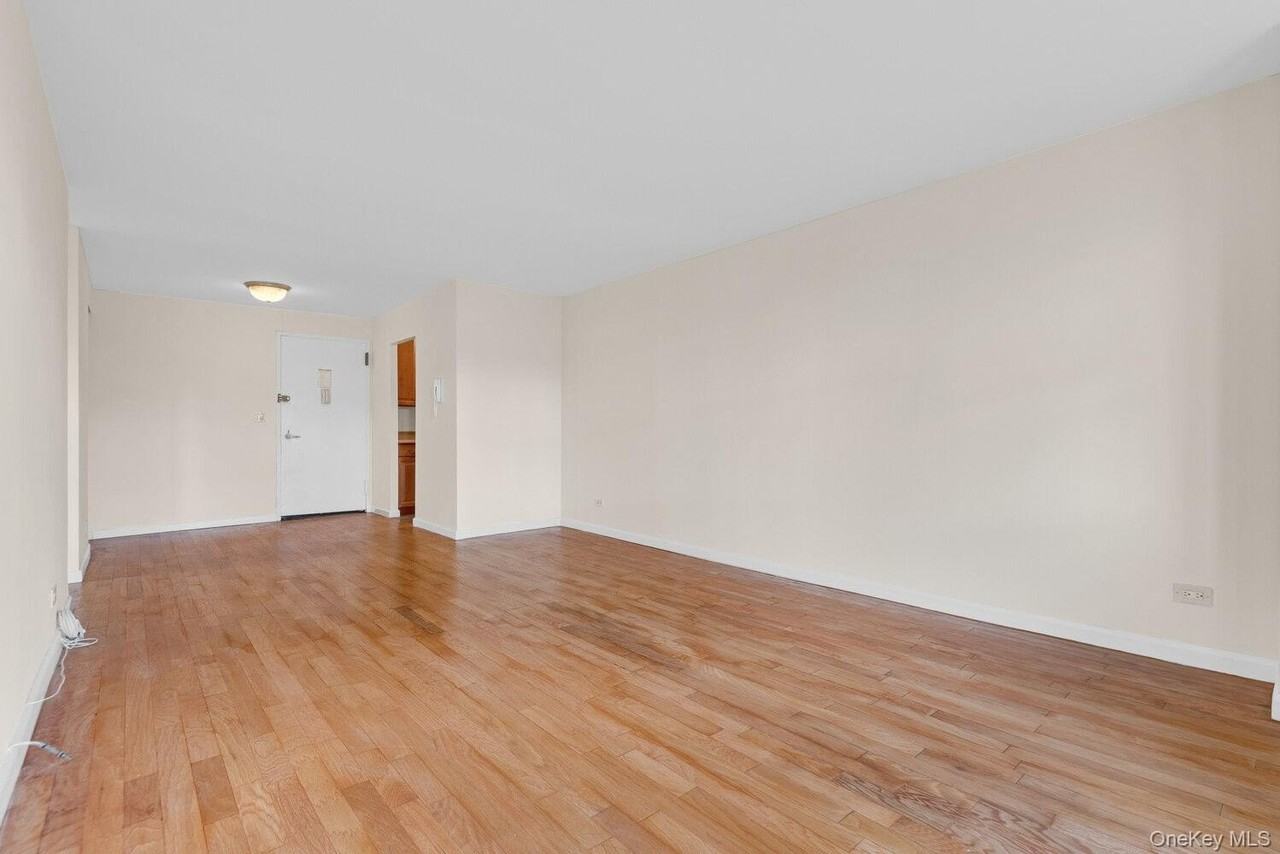 301 E 79th St #28P - Photo 3 of 11
