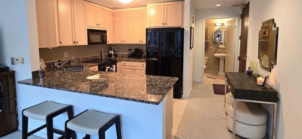 57 E Delaware Pl Apt 1304 #1304 - Photo 5 of 21