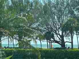 2100 Gulf Shore Blvd N Apt 100 #100 - Photo 1 of 1