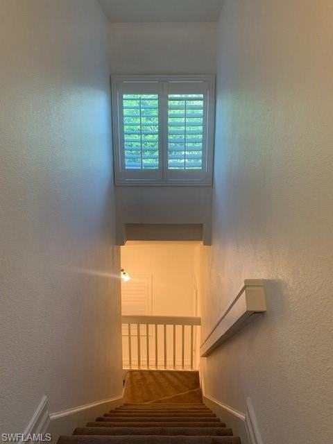 300 Diamond Cir Apt 302 #302 - Photo 6 of 14