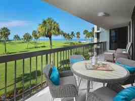 featured image of 4551 Gulf Shore Blvd N Apt 204 #204
