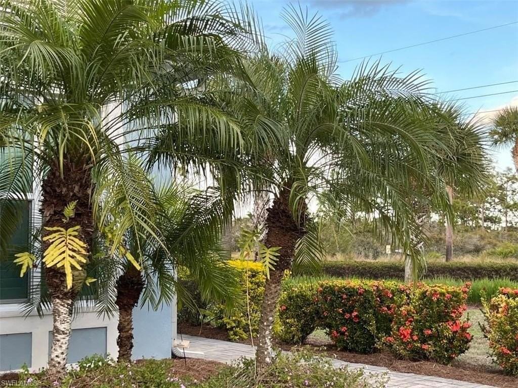 6907 Cay Ct - Photo 2 of 15