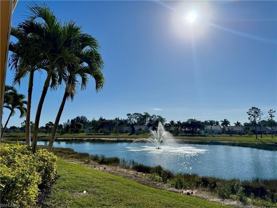 10020 Maddox Ln Apt 113 #113 - Photo 1 of 1