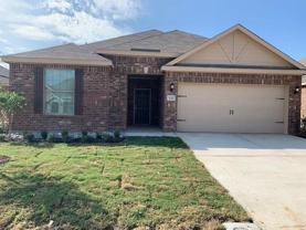 135 Morning Glory - Photo 1 of 1