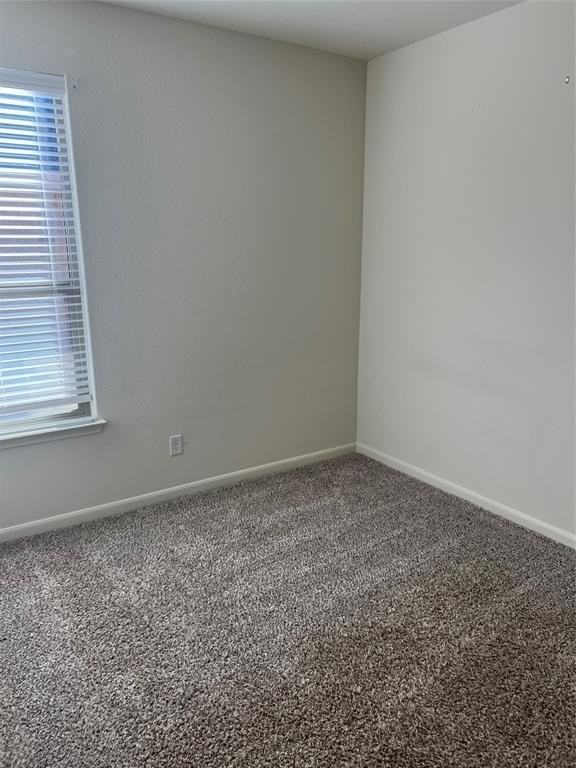 135 Morning Glory - Photo 5 of 9