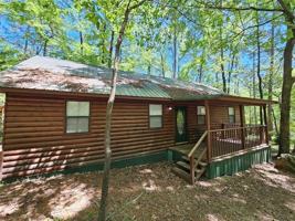 featured image of 158 Lionfish Rd