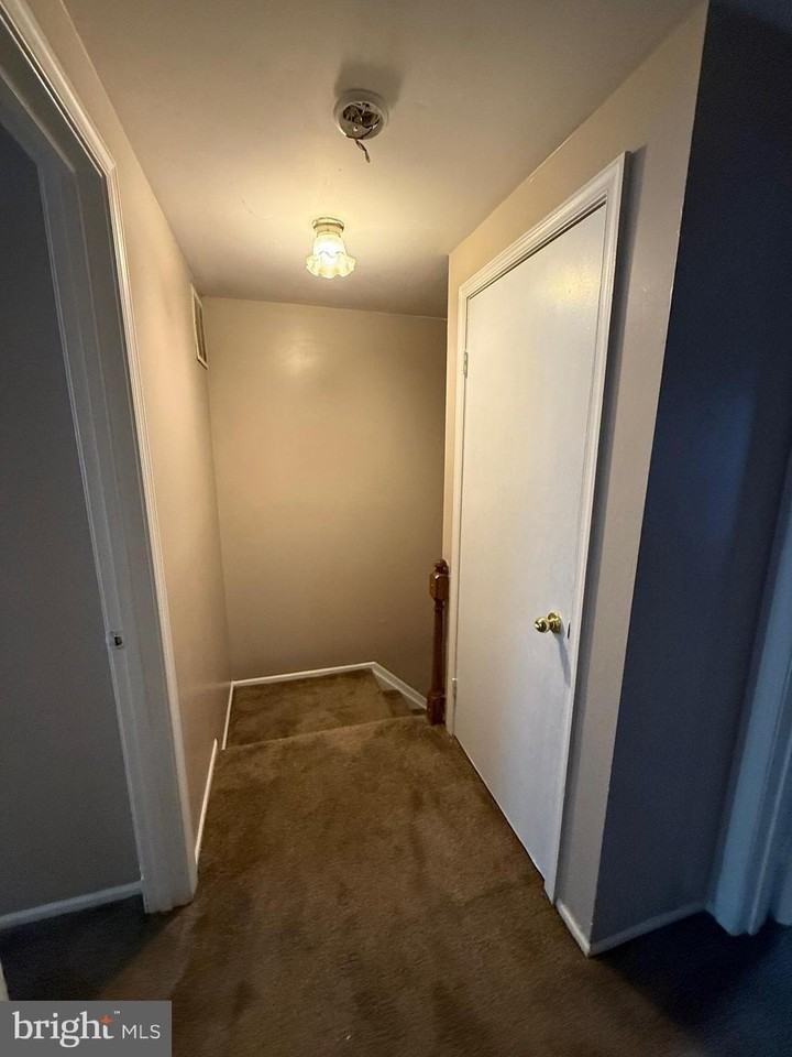 4599 Goldeneye Pl - Photo 6 of 9