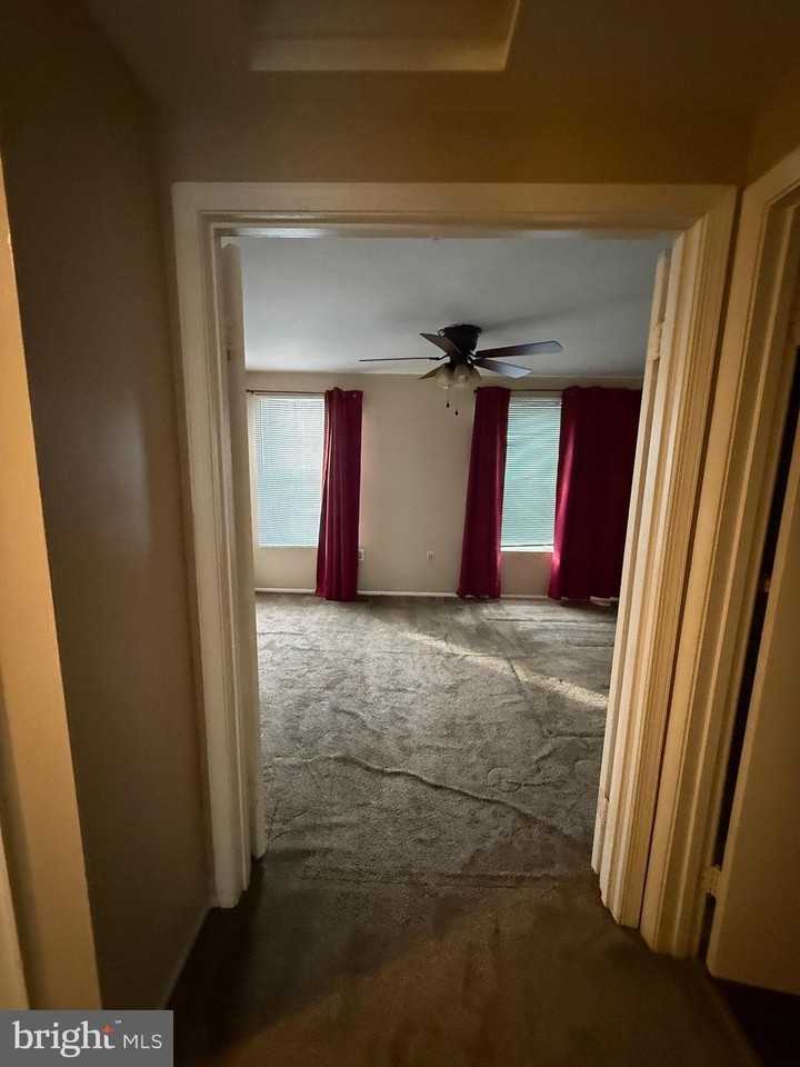 4599 Goldeneye Pl - Photo 7 of 9