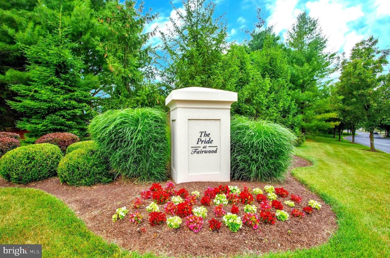 4611 Dickens Pride Ct - Photo 6 of 50