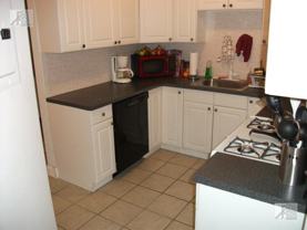 66 Egmont St #5 - Photo 1 of 1