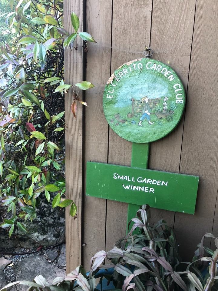 1409 Brewster Dr - Photo 6 of 50